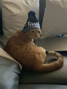 This is Cherbert he’s just chillin’