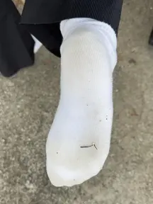 who wants to be my human vacuum?